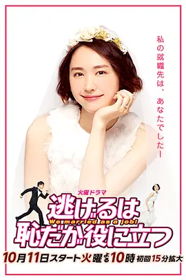 逃避虽可耻但有用 逃げるは恥だが役に立つ