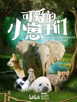 可爱的小崽子们 The Wonderful World of Baby Animals