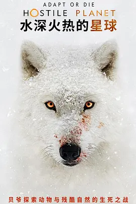 水深火热的星球 Hostile Planet