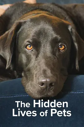 宠物的秘密生活 The Hidden Lives of Pets