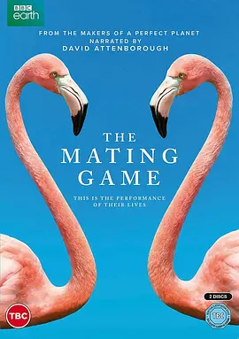 求偶游戏 The Mating Game