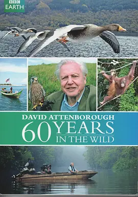大卫爱登堡野外探索60年 Attenborough: 60 Years in the Wild