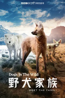 野犬家族 Dogs in the Wild: Meet the Family