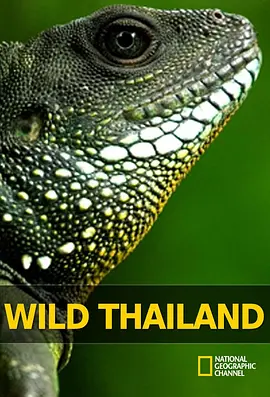 野泰国 Wild Thailand
