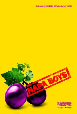 纳帕酷男团 The Napa Boys