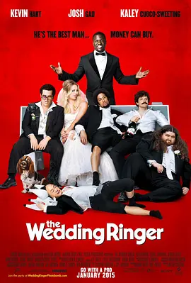 定制伴郎 The Wedding Ringer