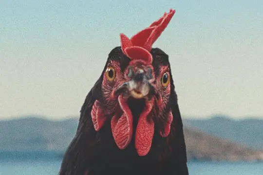 电影剧照