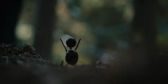 电影剧照