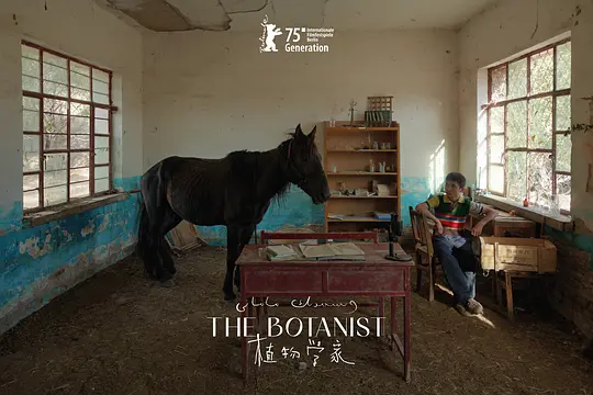 电影剧照