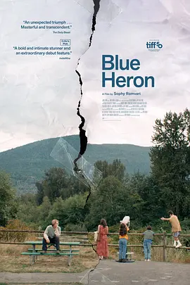 蓝鹭 Blue Heron