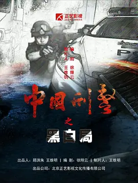 中国刑警之黑白局