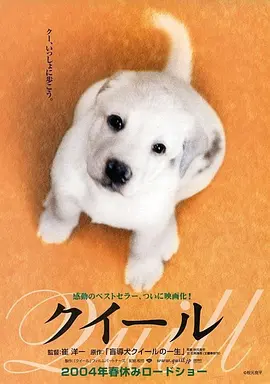 导盲犬小Q クイール