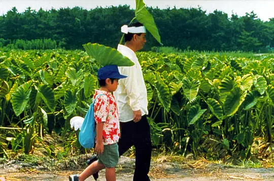 电影剧照