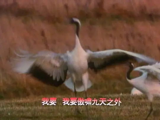 电影剧照