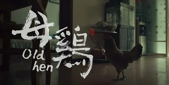 电影剧照