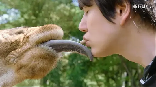 电影剧照