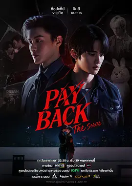 偿还 PAYBACK