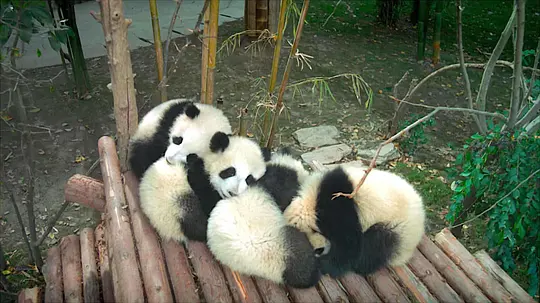 电影剧照