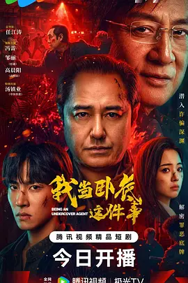 我当卧底这件事