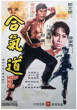 1972 合气道