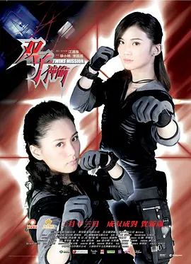 2007 双子神偷