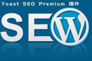 Yoast SEO Premium v​​18.3 已激活中文版-WordPress SEO插件