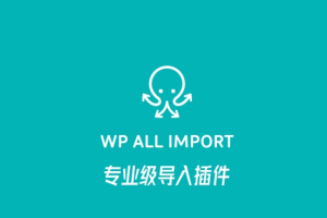 WP All Import Pro v4.7.8 汉化版中文版激活版 – WordPress导入插件
